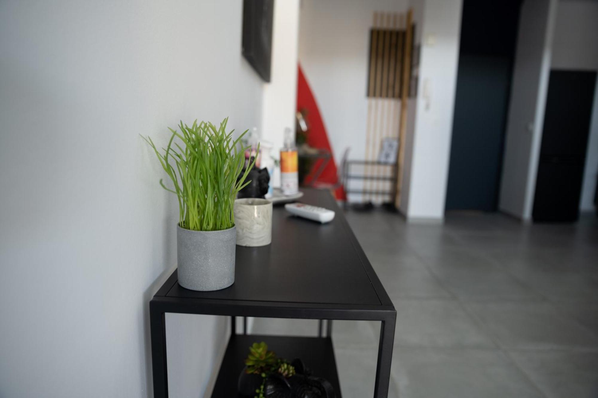 L'Elegance Citadine Apartment Cayenne Bagian luar foto